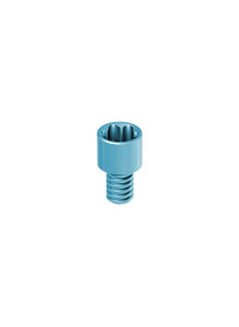 Screw Conical Angulated Channel Abutment 