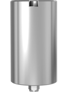 JD Pre-milled blanks and abutment screw JDEvolution S