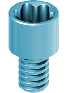 Screw Conical Angulated Channel Abutment 